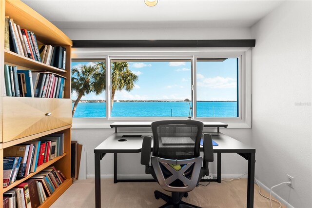 520 Belle Isle Ave, Belleair Beach, FL 33786 - office area featuring baseboards, carpet floors, a healthy amount of sunlight, and a water view