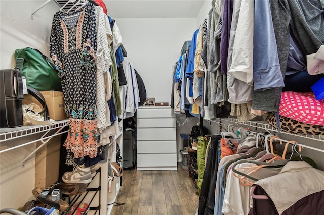 spacious closet with wood-type flooring