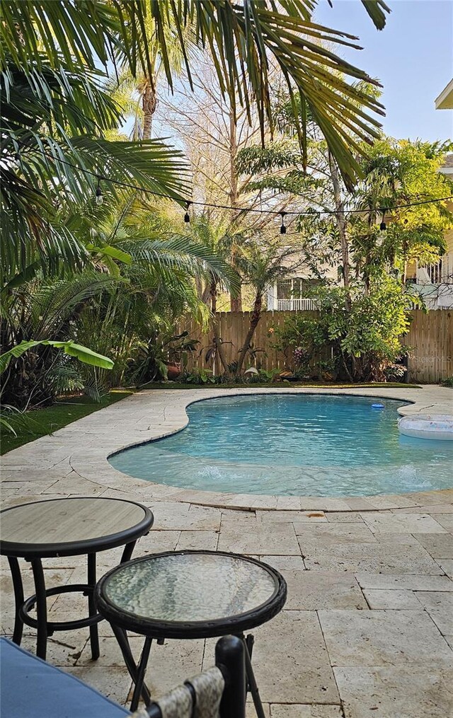 view of swimming pool featuring a fenced in pool, a patio, and fence