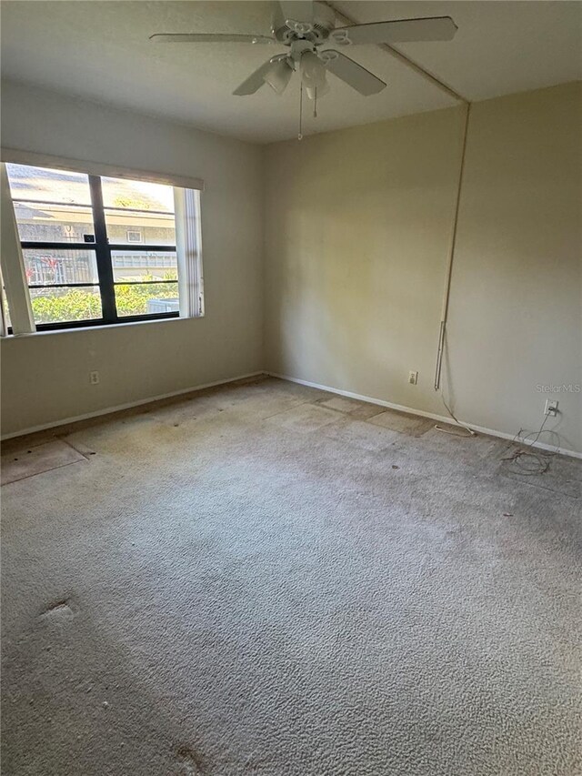 3046 Eastland Blvd Unit J106, Clearwater, FL 33761 - unfurnished room featuring carpet, ceiling fan, and baseboards