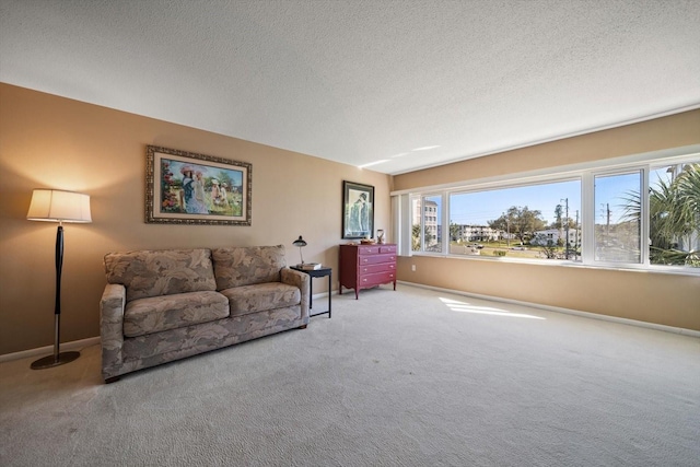 carpeted living area with baseboards and a textured ceiling