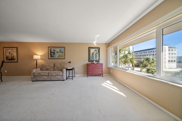 sitting room featuring baseboards and carpet floors