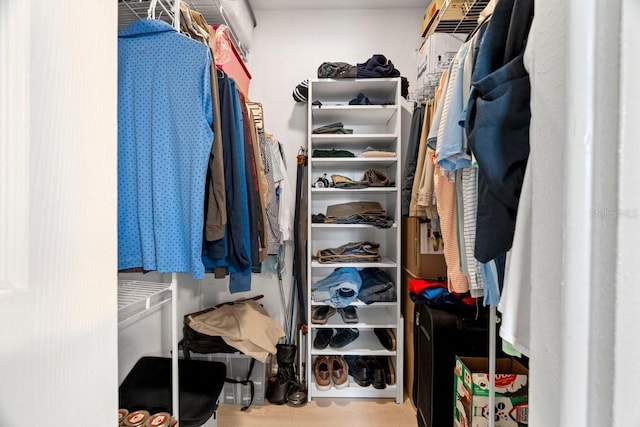 view of spacious closet