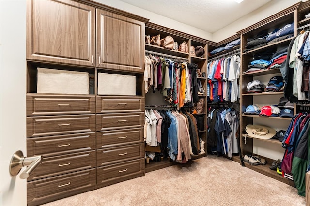 spacious closet featuring carpet flooring