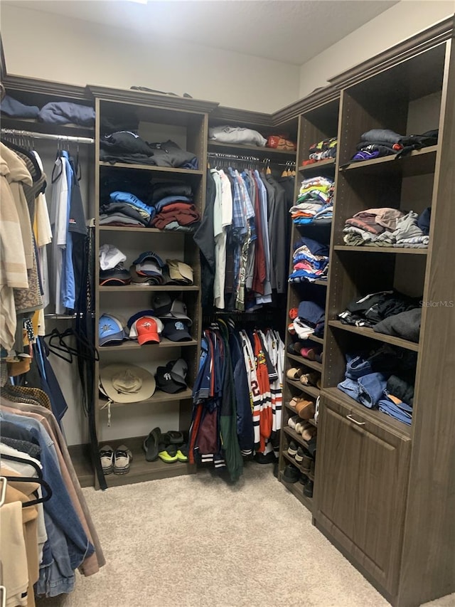 spacious closet featuring carpet floors