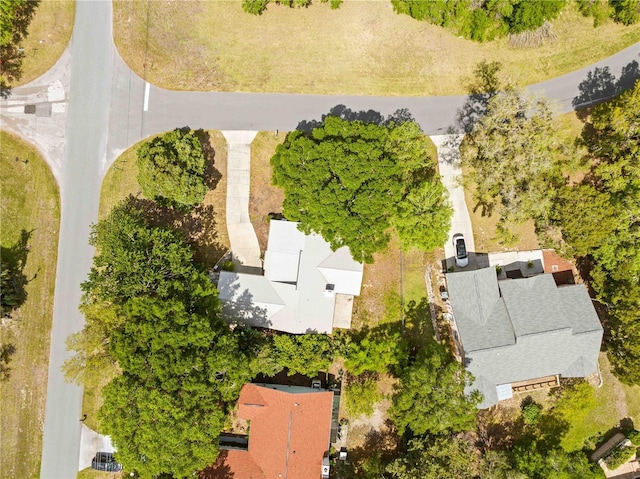 11599 W Timberlane Dr, Homosassa, FL 34448 - photo 7