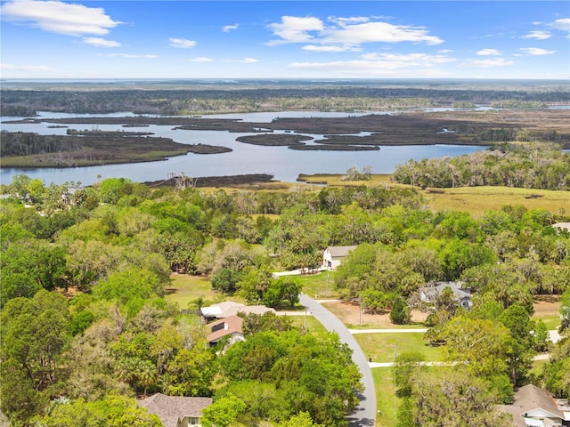 11599 W Timberlane Dr, Homosassa, FL 34448 - photo 8