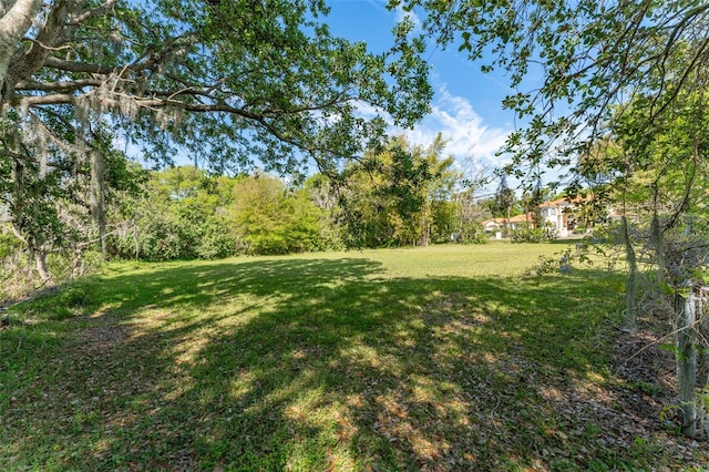 view of yard