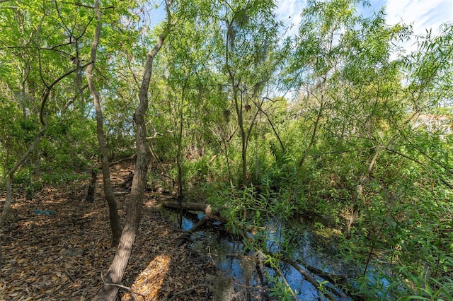 view of landscape featuring a forest view