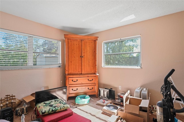 bedroom with carpet floors and a textured ceiling