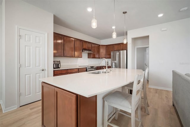 kitchen with a sink, light wood-style floors, appliances with stainless steel finishes, and under cabinet range hood