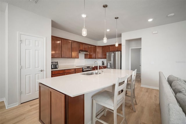 kitchen featuring a sink, light wood-style flooring, under cabinet range hood, and stainless steel appliances