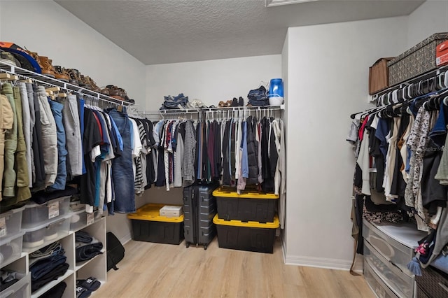 walk in closet featuring wood finished floors