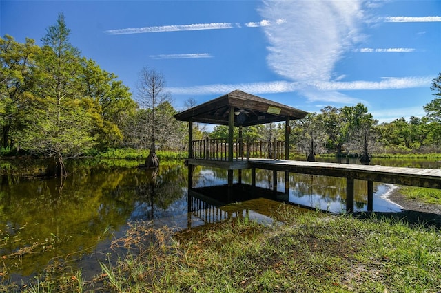dock area with a water view