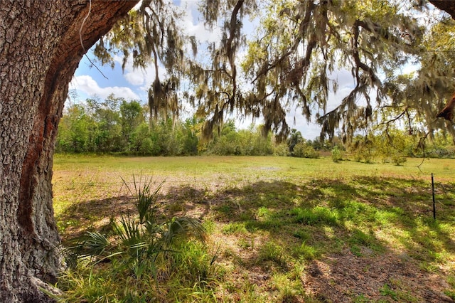 Address Not Disclosed, Plant City FL, 33567 land for sale