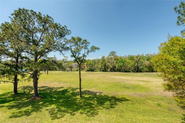 15618 Shoal Creek Pl, Odessa, FL 33556 - photo 68