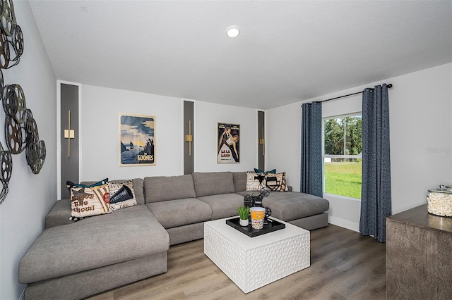 living area featuring a textured ceiling, baseboards, and wood finished floors