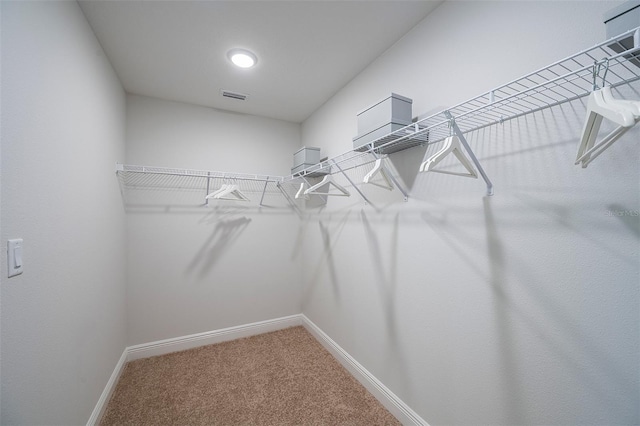 spacious closet with visible vents and carpet flooring