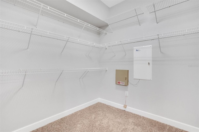 spacious closet featuring electric panel and carpet flooring