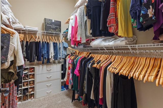 spacious closet featuring carpet