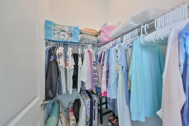 view of spacious closet