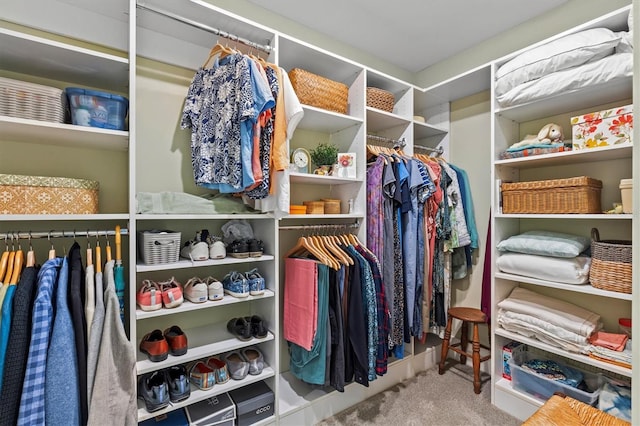 spacious closet with carpet floors