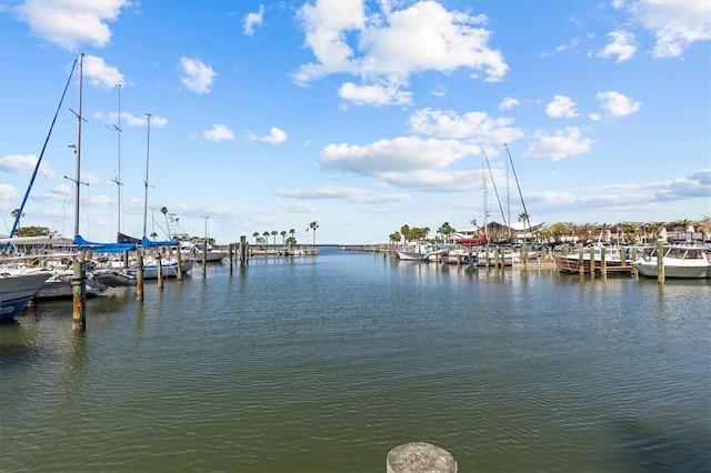 view of dock with a water view