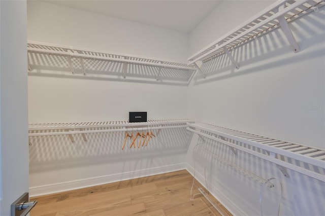 walk in closet with wood finished floors