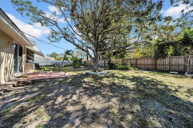view of yard with a patio area and a fenced backyard