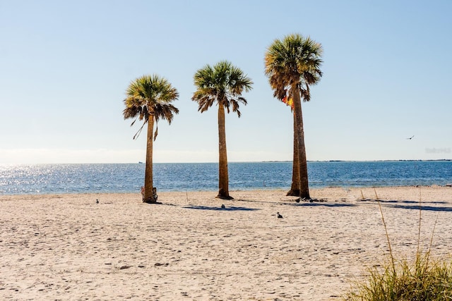 water view featuring a view of the beach