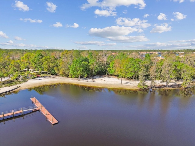 aerial view featuring a water view and a wooded view