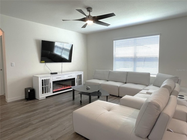 31888 Treasure Dock Isle, Wesley Chapel, FL 33545 - living area featuring ceiling fan, baseboards, arched walkways, a glass covered fireplace, and wood finished floors