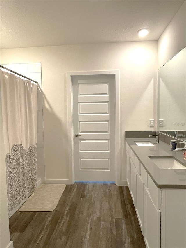 31888 Treasure Dock Isle, Wesley Chapel, FL 33545 - bathroom with double vanity, a sink, wood finished floors, and baseboards