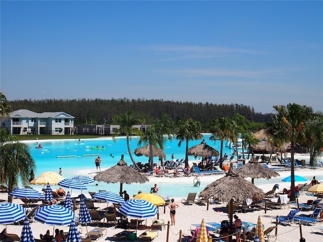 31888 Treasure Dock Isle, Wesley Chapel, FL 33545 - view of swimming pool with a forest view