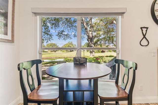 dining room with a wealth of natural light and baseboards