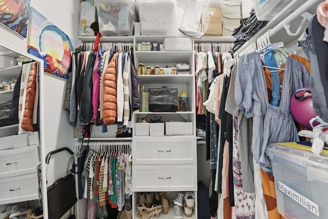 view of spacious closet