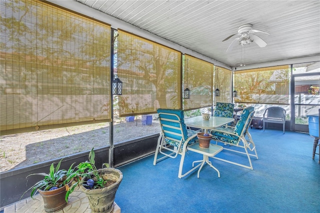 7016 2nd St N, Saint Petersburg, FL 33702 - photo 15