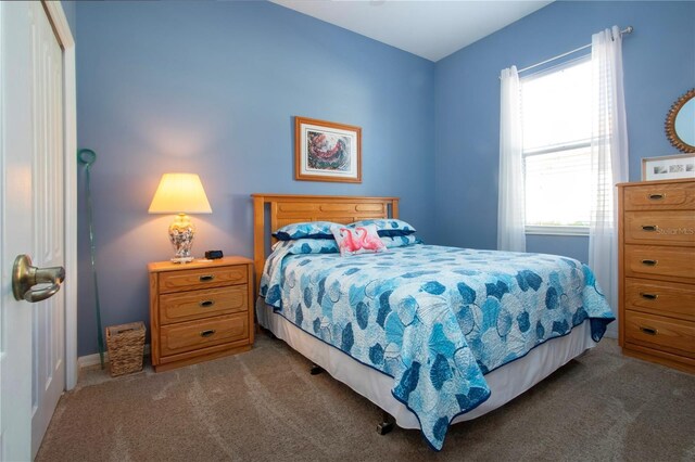 1308 Crystal Greens Dr, Sun City Center, FL 33573 - photo 43