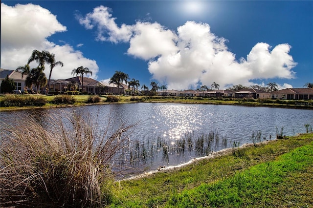 1308 Crystal Greens Dr, Sun City Center, FL 33573 - photo 5