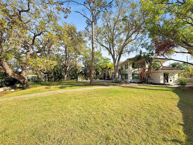 view of yard