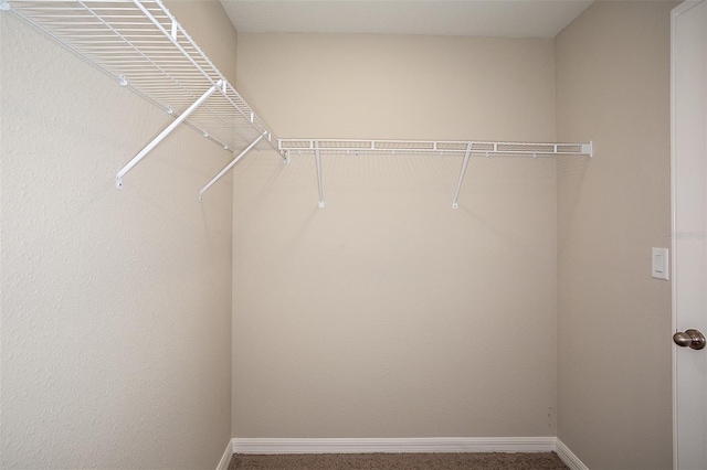 walk in closet featuring carpet flooring