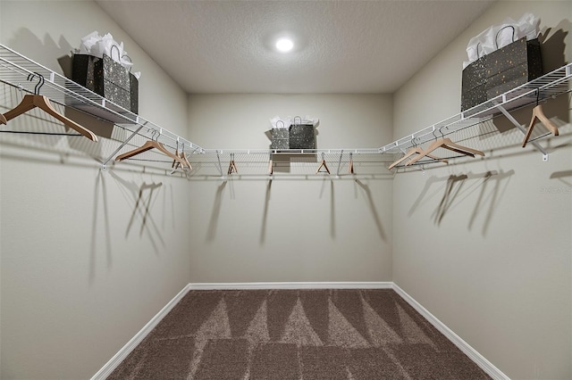 spacious closet featuring carpet floors