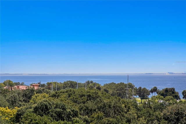 146 4th Ave NE Unit 600, Saint Petersburg, FL 33701 - view of water feature