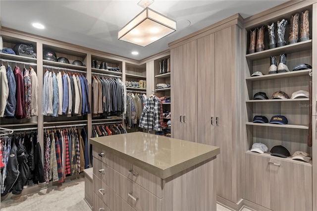 146 4th Ave NE Unit 600, Saint Petersburg, FL 33701 - view of walk in closet