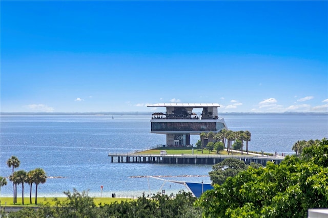 146 4th Ave NE Unit 600, Saint Petersburg, FL 33701 - property view of water