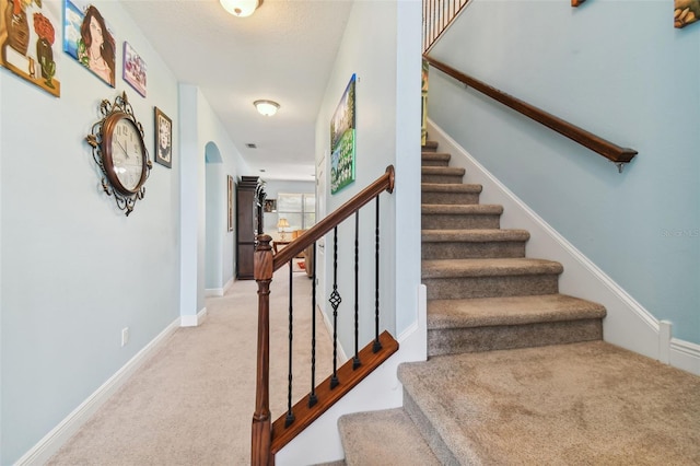 19432 Whispering Brook Dr, Tampa, FL 33647 - photo 14