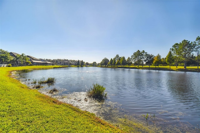 19432 Whispering Brook Dr, Tampa, FL 33647 - photo 49