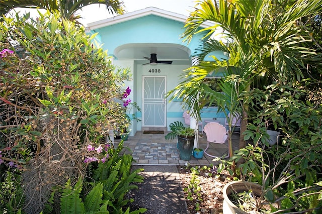 entrance to property featuring a ceiling fan