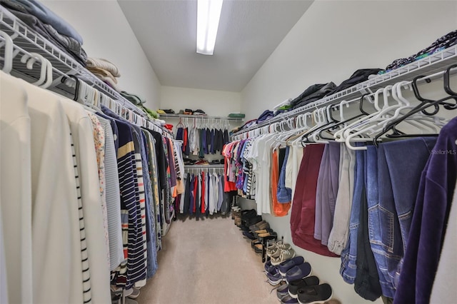 807 Chipper Dr, Sun City Center, FL 33573 - spacious closet with carpet