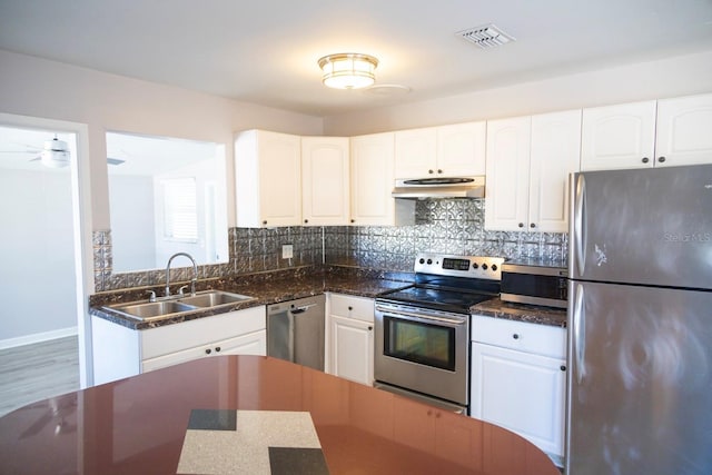 kitchen with under cabinet range hood, backsplash, appliances with stainless steel finishes, and a sink